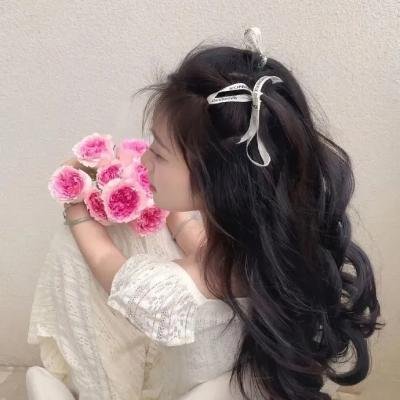 撒旦回归